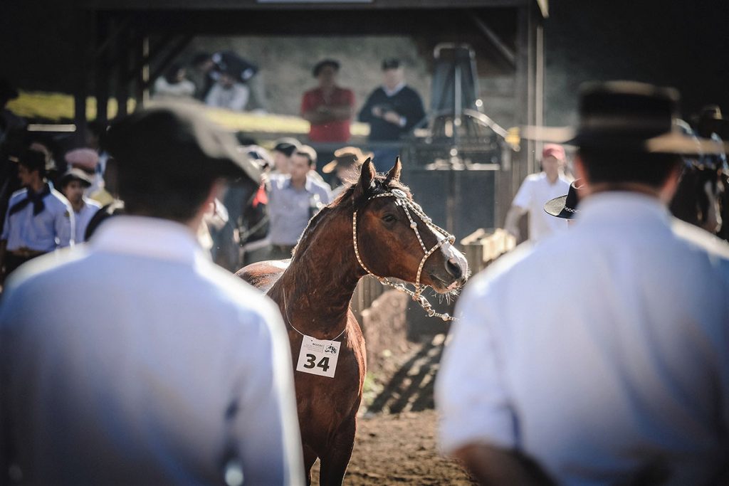 Foto: Fagner Almeida/ABCCC Divulgação