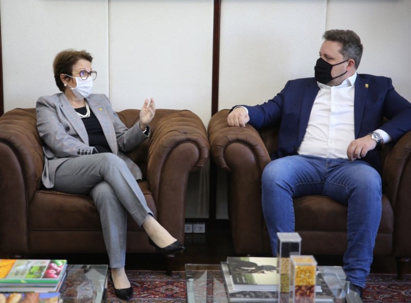 Ministra Tereza Cristina e secretário Covatti Filho também falaram do processo de retirada da vacina da febre aftosa no RS - Foto: Divulgação Seapdr