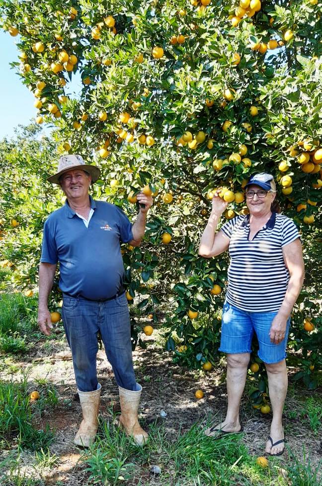 Agricultores Jose Ari e Cleci Antonietti esperam uma colheita 